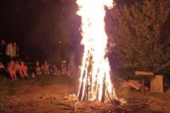 IMG-20251011-WA0033